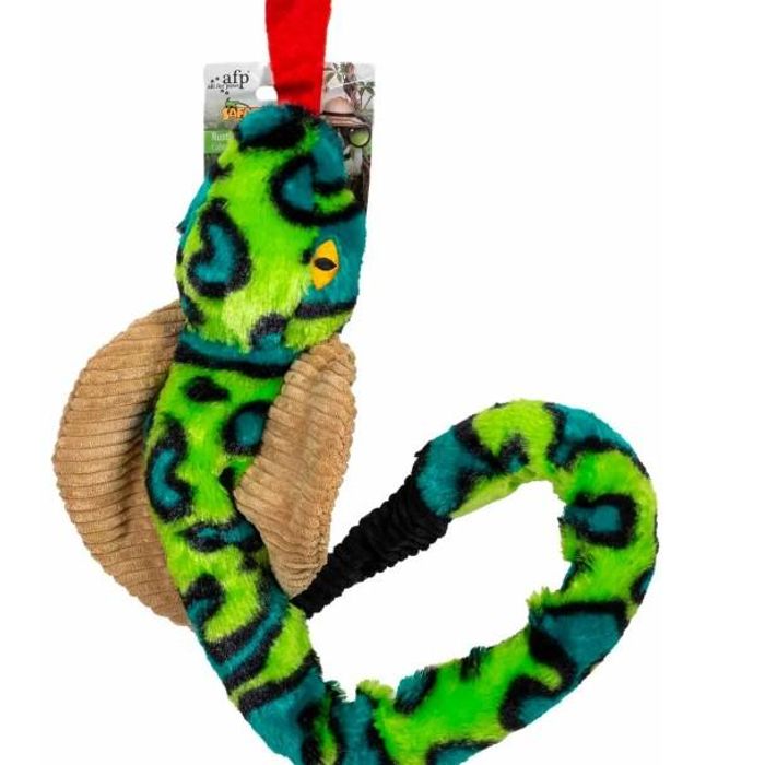 afp Safari Rustling Cobra