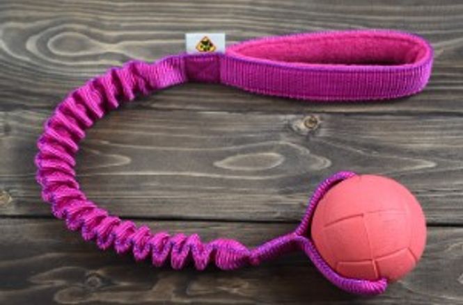 Hovedbilde Dog's Craft Hoko Basic med ball Large
