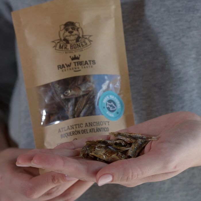 Mr. Bones Raw Treats Ansjos