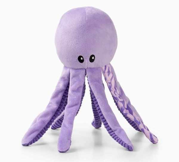 Hovedbilde Blekkspruten Leila